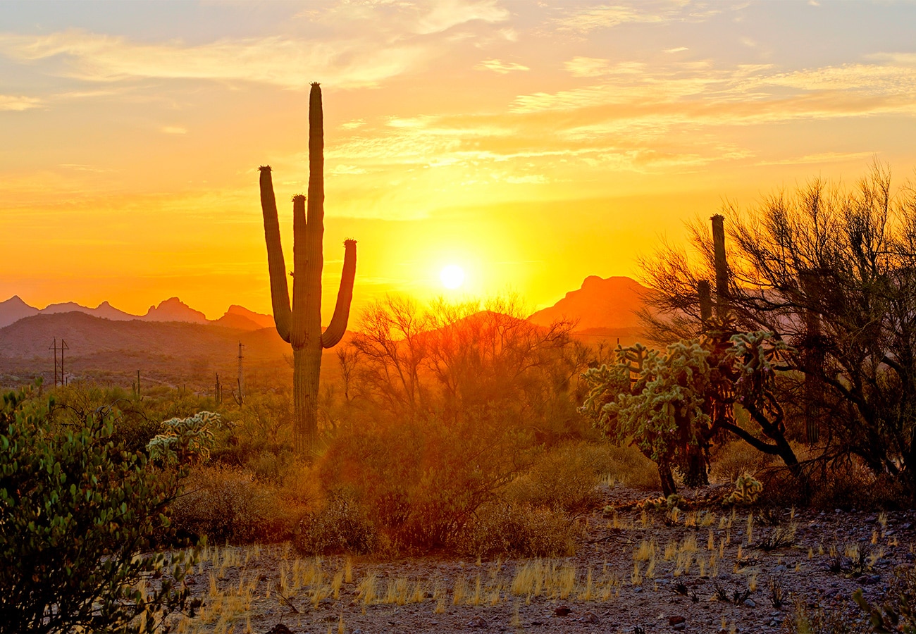 Arizona